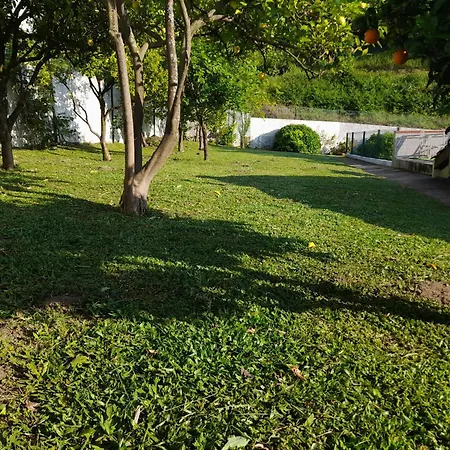 Quintihna Tres A Godinhacos Semesterbostad Vila Verde (Braga)