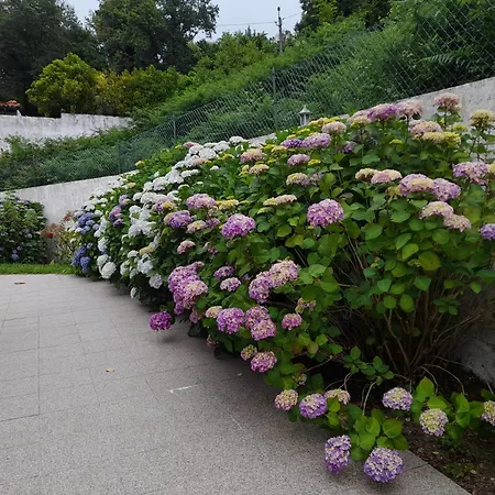 Quintihna Tres A Godinhacos