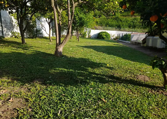 Quintihna Tres A Godinhacos Semesterbostad Vila Verde (Braga)