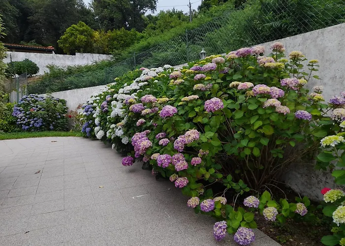 Quintihna Tres A Godinhacos